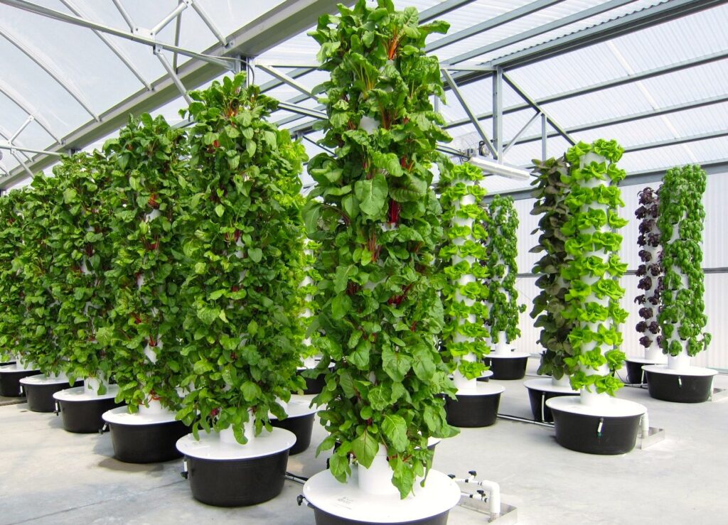 aeroponics market