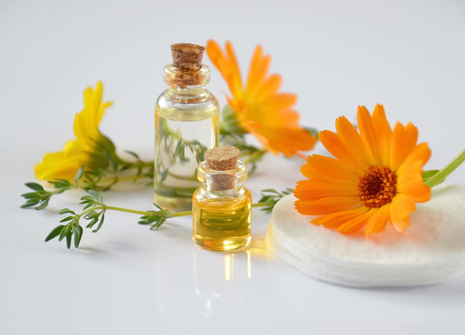 Organic Cosmetics Market