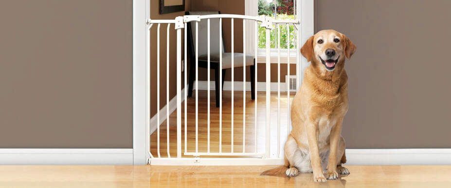 Dog Gates, Doors, & Pens Market 