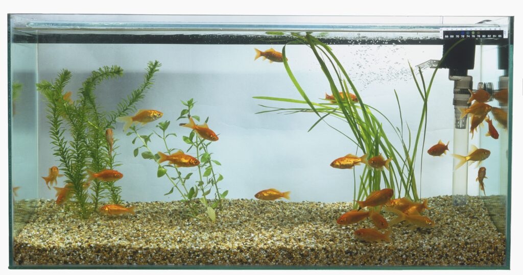 Aquarium Water Treatment Market