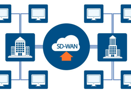 Software-Defined Wide Area Network Market