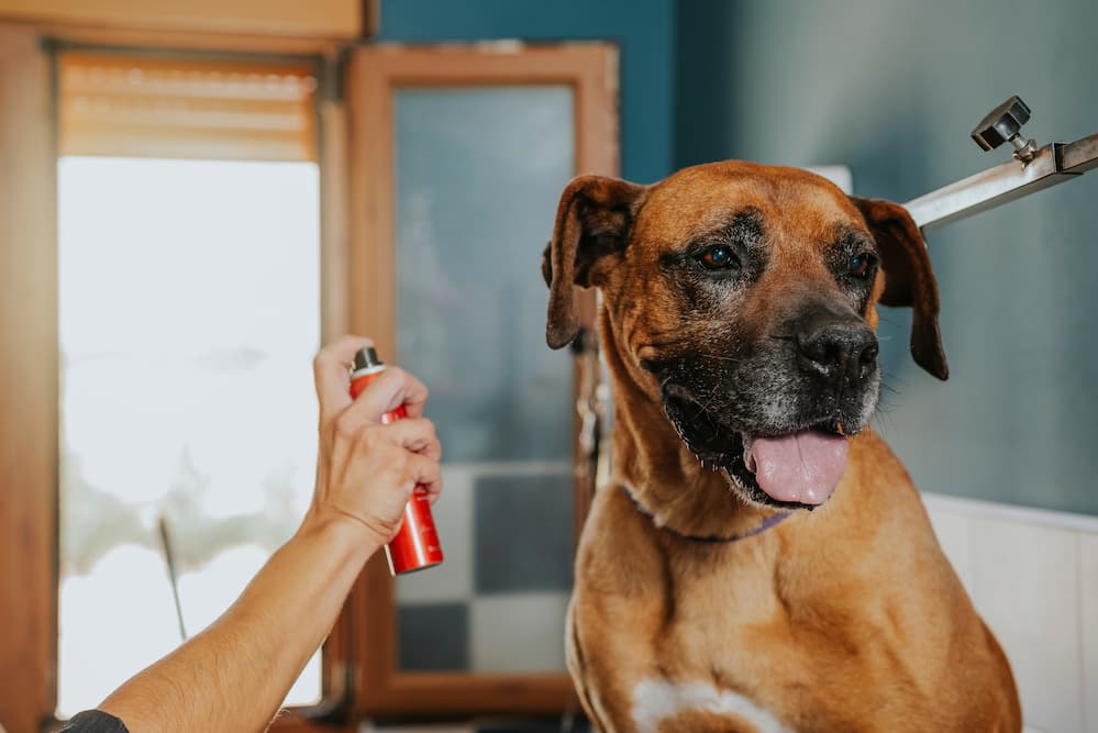 Pet Perfume Market