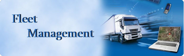 Fleet Management Industry Analysis in Western Europe

