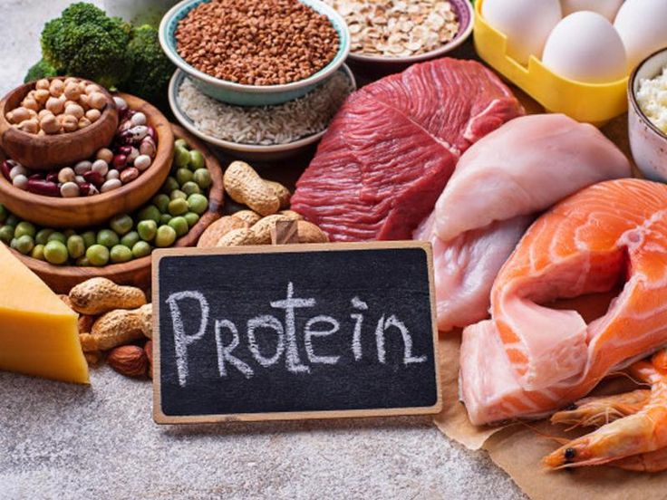 Alternative Protein Market