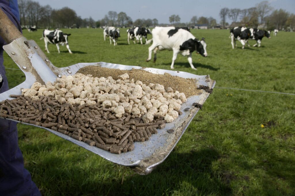 Animal Feed Alternative Protein Market