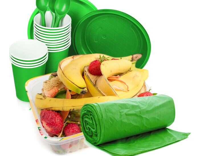 Biodegradable Packaging Market