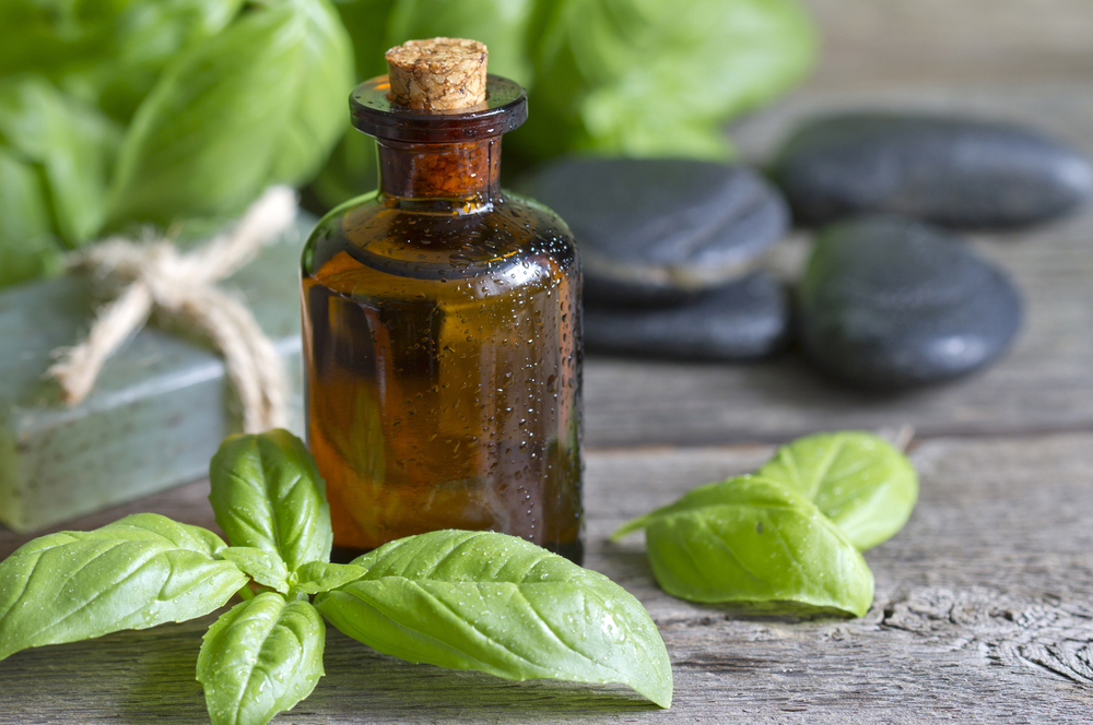 Basil Extract Market