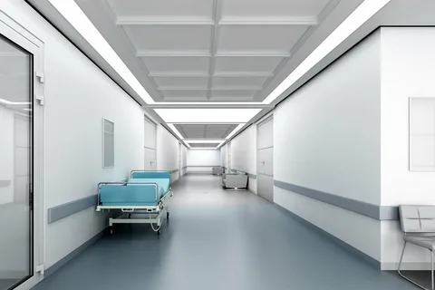 Bedless Hospitals Market