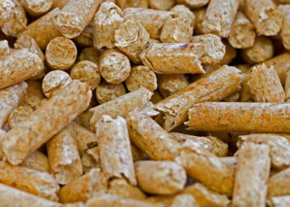 Biomass Pellets Market