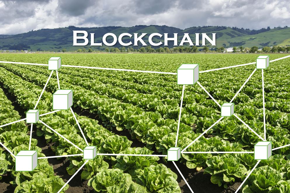 Blockchain in Agriculture Market: