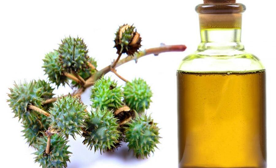 Castor Oil Industry