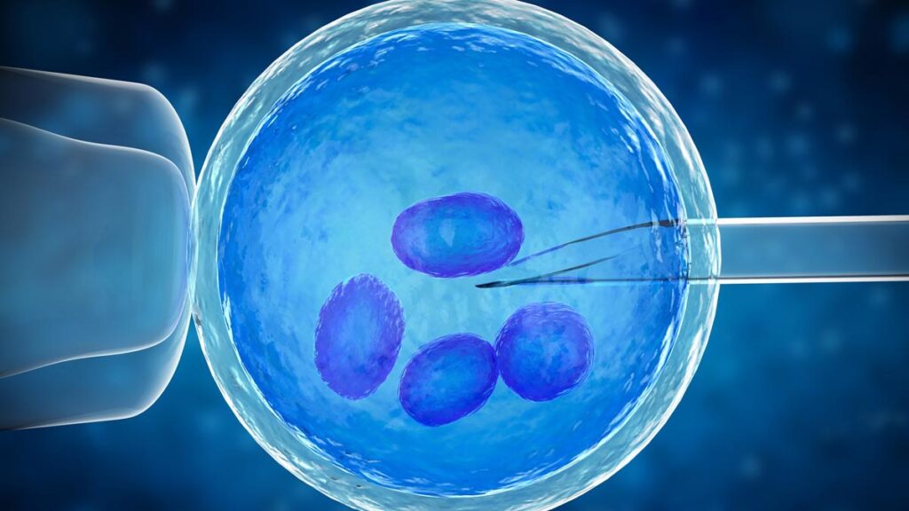 Donor Egg IVF (In-Vitro Fertilization) Market