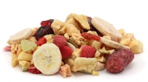 Consumer Shift Towards Nutrient-rich Diets Boosts Freeze Dried Fruits 