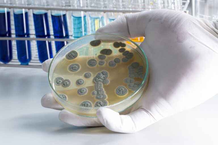 Global Microbial Therapeutic Products Industry Is Expected To Reach Us 