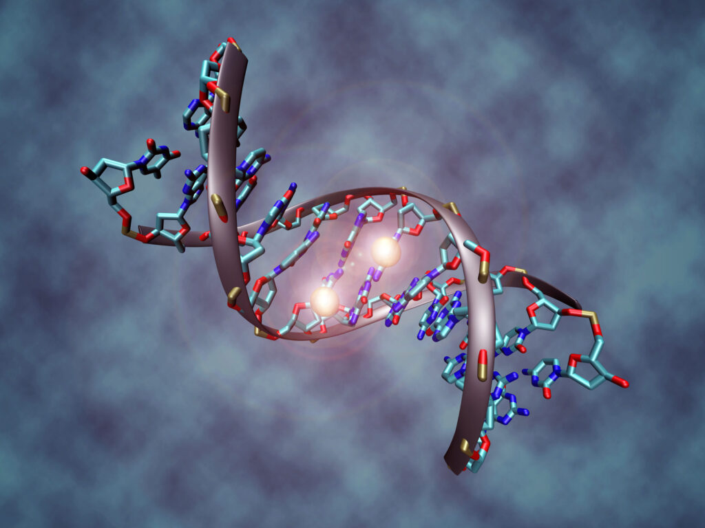 Global Nucleic Acid And Gene Therapies In Neuromuscular Disorders Industry 