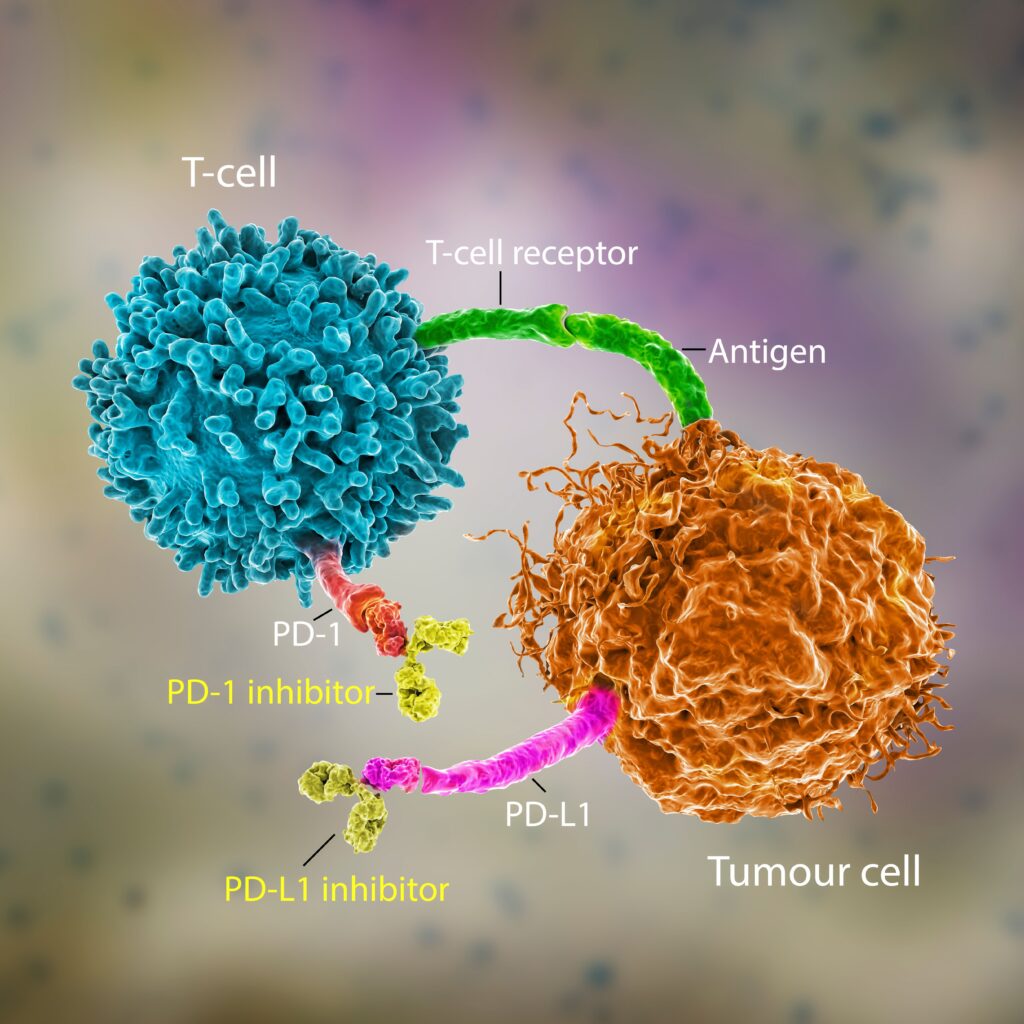 Global PD-1 PD-L1 Inhibitors Industry