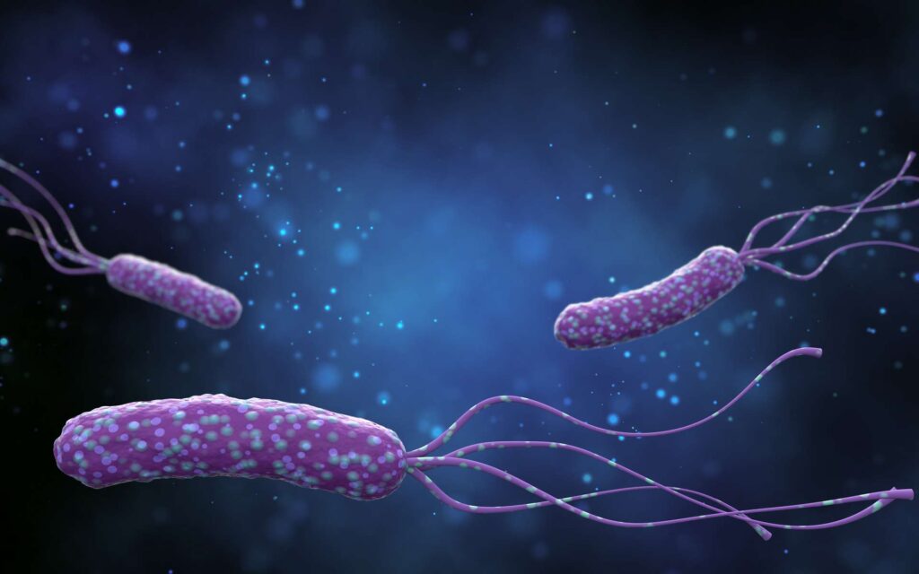 Helicobacter Pylori Infections Treatment Market