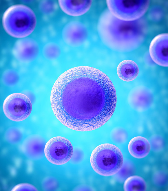 Global Hematopoietic Stem Cell Transplantation Industry