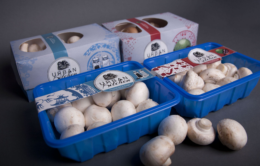 Mushroom Packaging Market