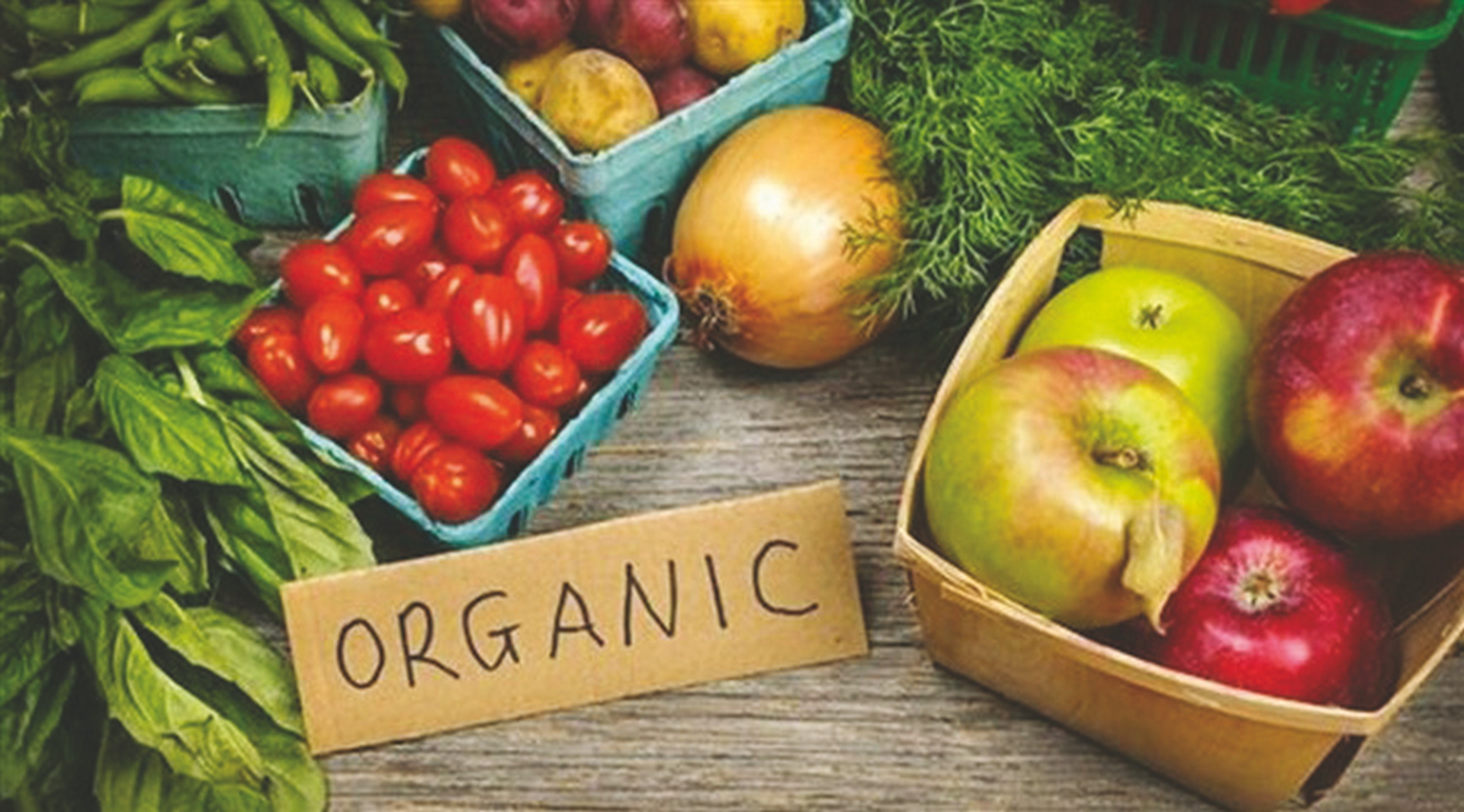 Organic Foods Market Set to Skyrocket, Expected to Reach US$ 553.13 ...