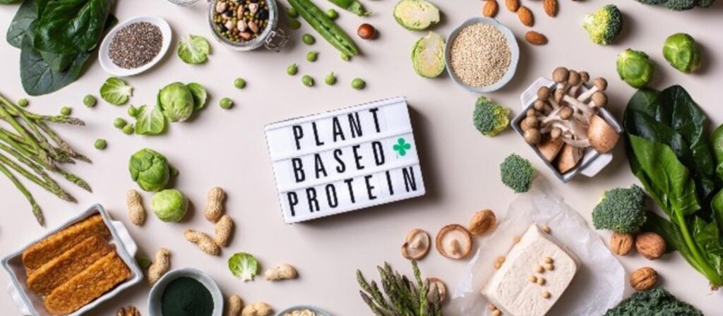 Plant-based Protein Market