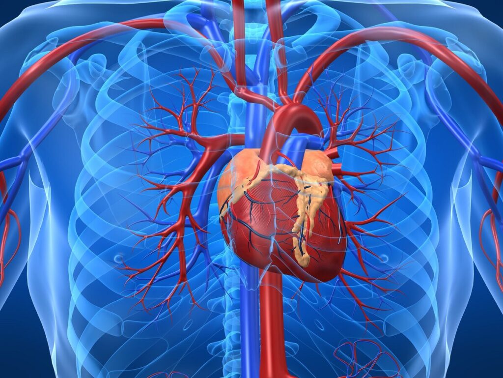 Prinzmetal Angina Therapeutics Market