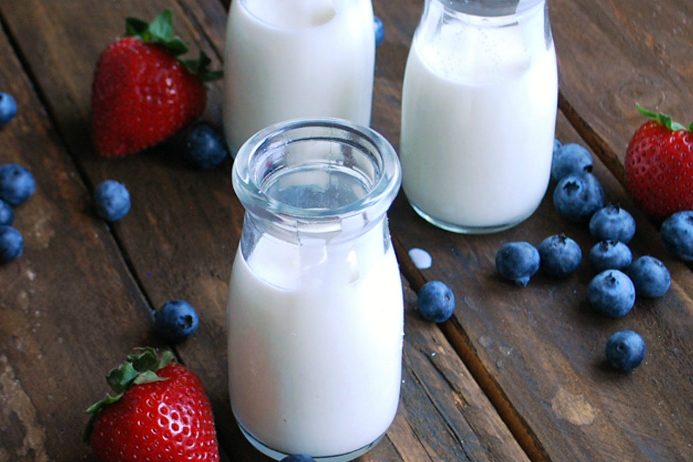 Yogurt and Probiotic Drink Market