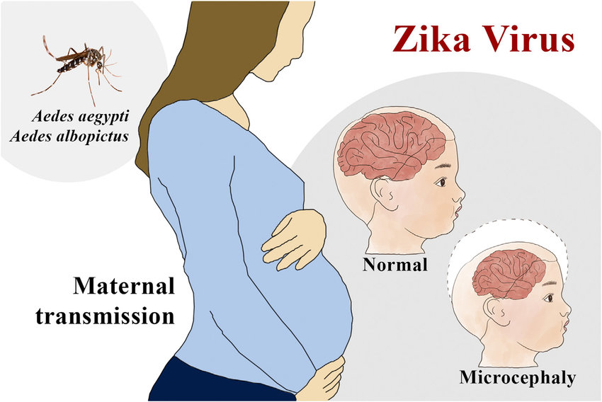 Zika Virus Testing Market