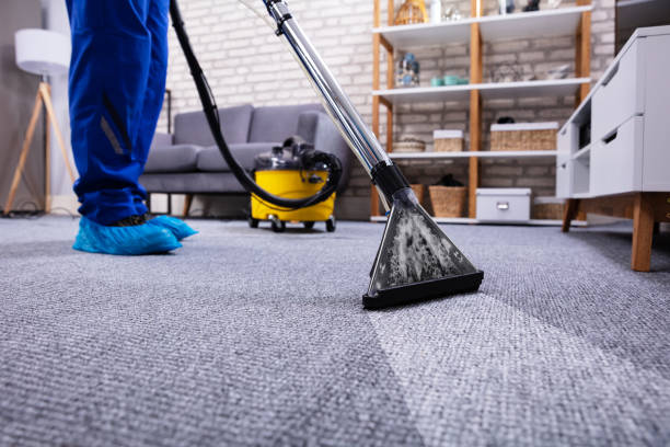 Carpet Extraction Cleaner Market