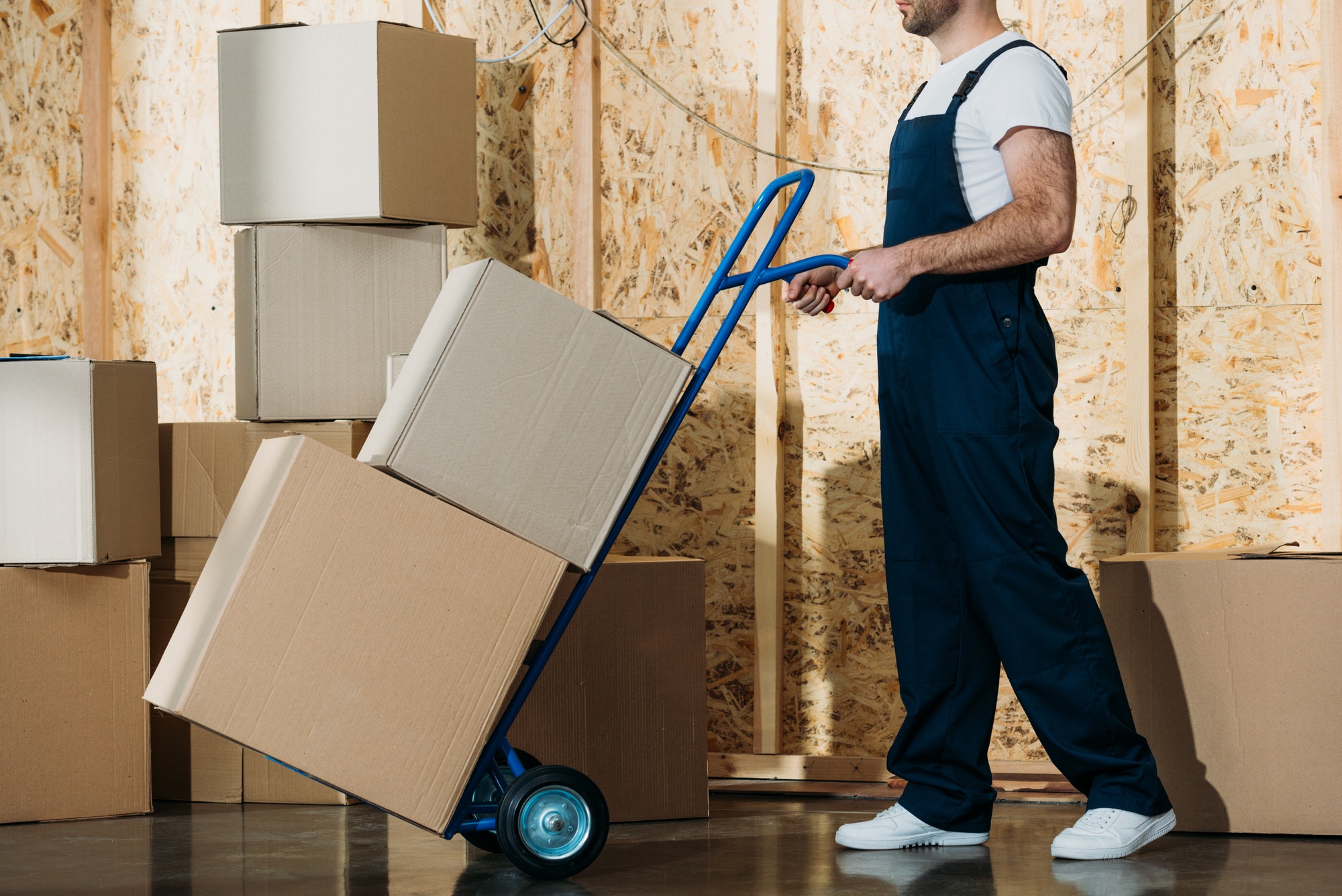 Booming Moving Supplies Market Eco-innovation And Personalization Drive 