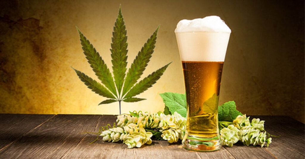 Cannabis Beverages