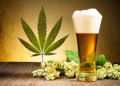 Cannabis Beverages