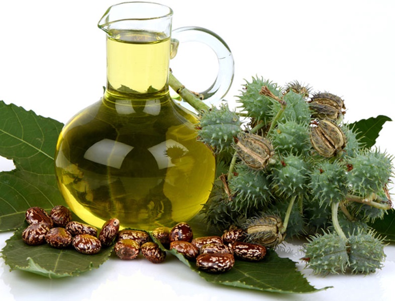 Castor Oil Derivatives Market 