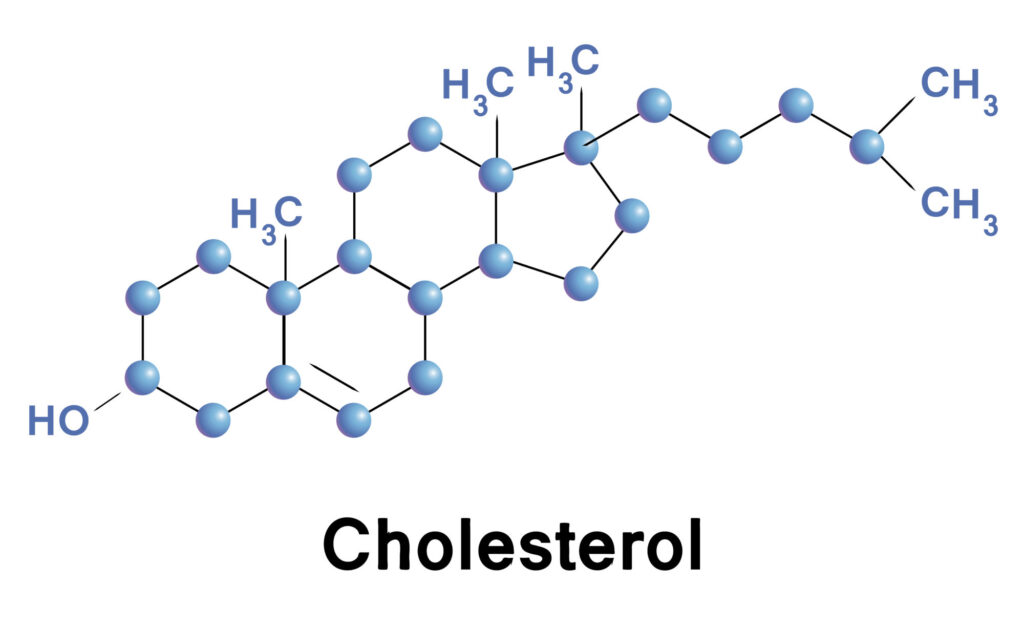 Cholesterol API Market