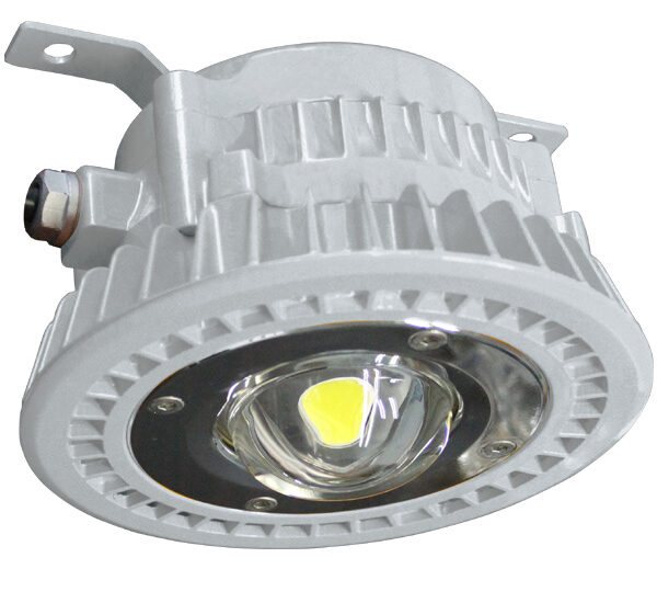 Flame Proof Lighting Industry