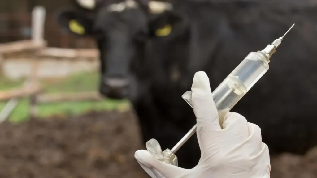 Global Live Stock Vaccine Industry