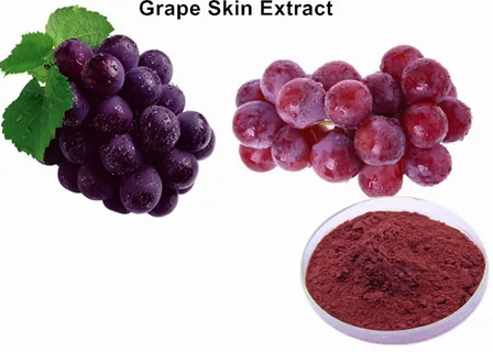 Grape Skin Extract Market