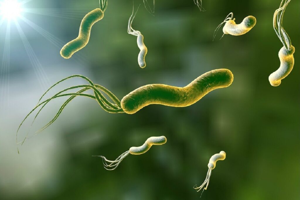 Helicobacter Pylori Infections Treatment Market