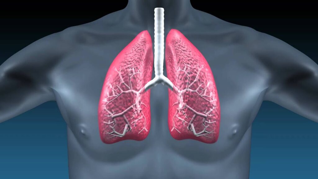 Idiopathic Pulmonary Fibrosis Management Market