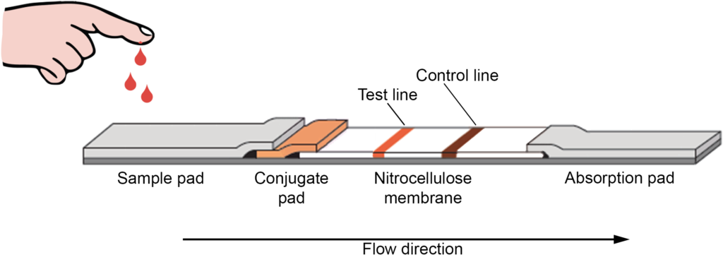 Lateral Flow Assays Market