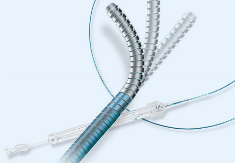 Micro Guide Catheter Market