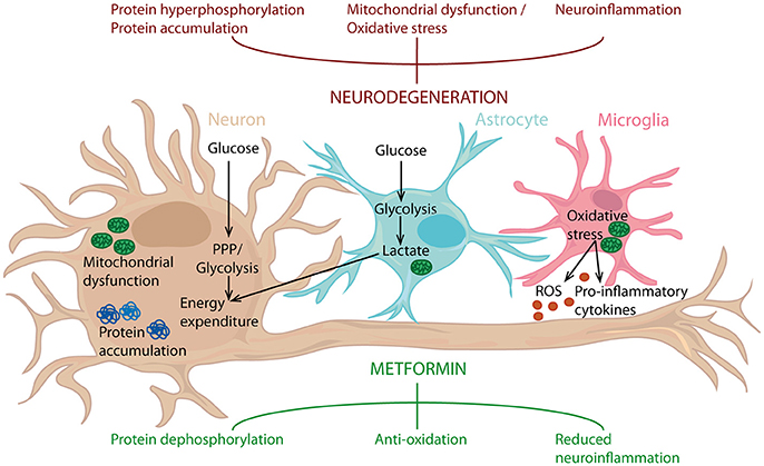 Neurodegenerative Disease Market