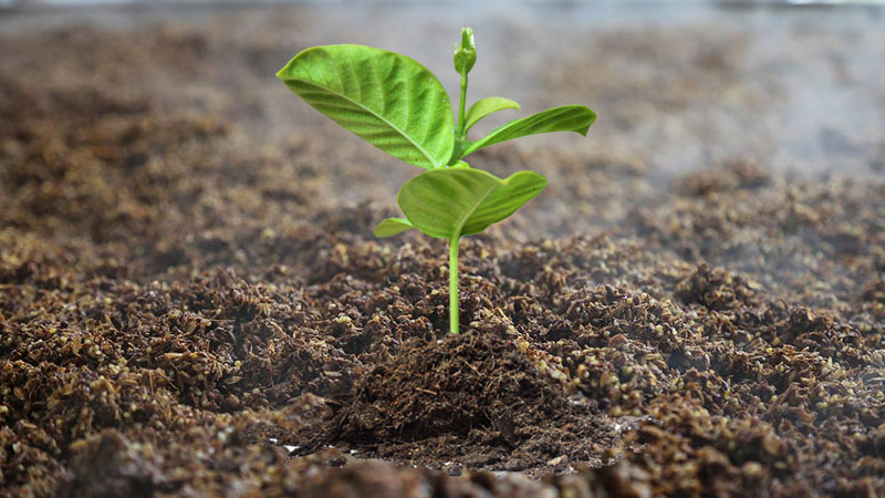 Organic Fertilizer Industry Analysis in North America