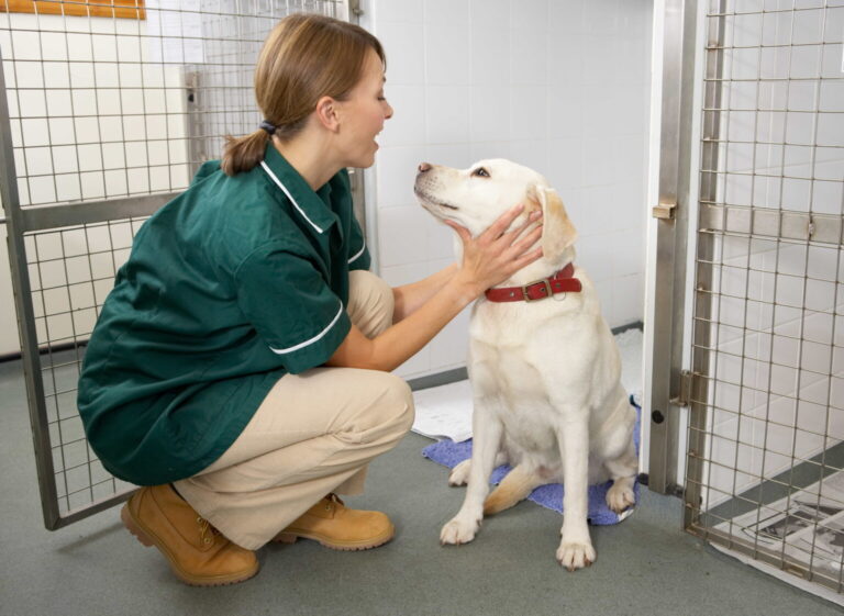 Pet Daycare Market