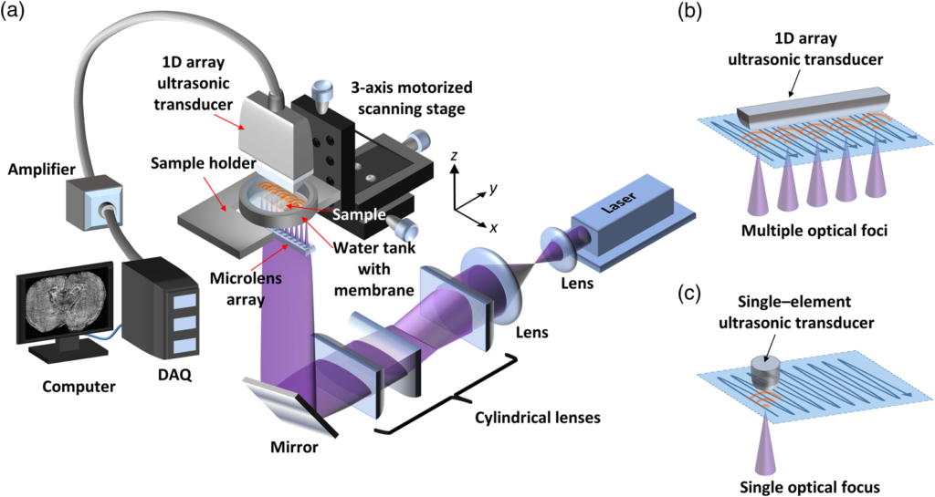 Photoacoustic Microscopy Market