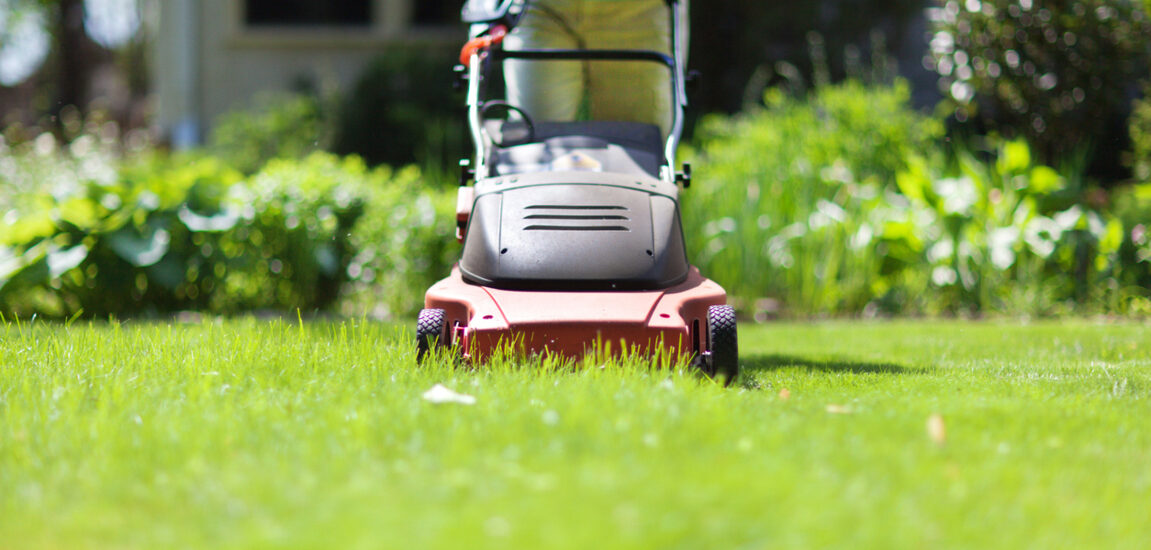 Powered Lawn Mowers Market