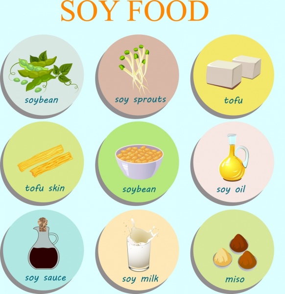 Soy Food Products Market 