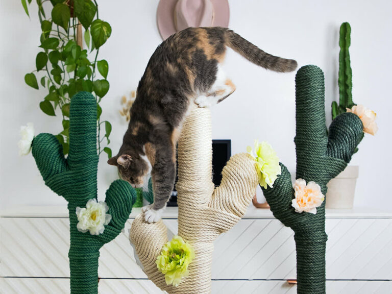 Cat Scratchers and Trees Market