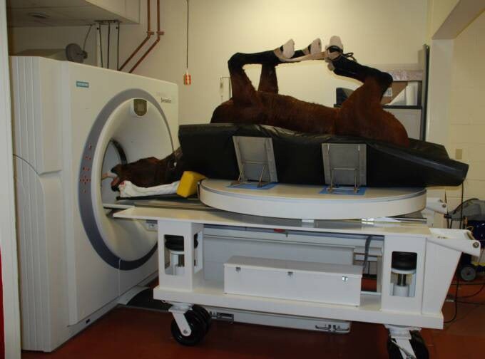 Veterinary Computed Tomography Scanner