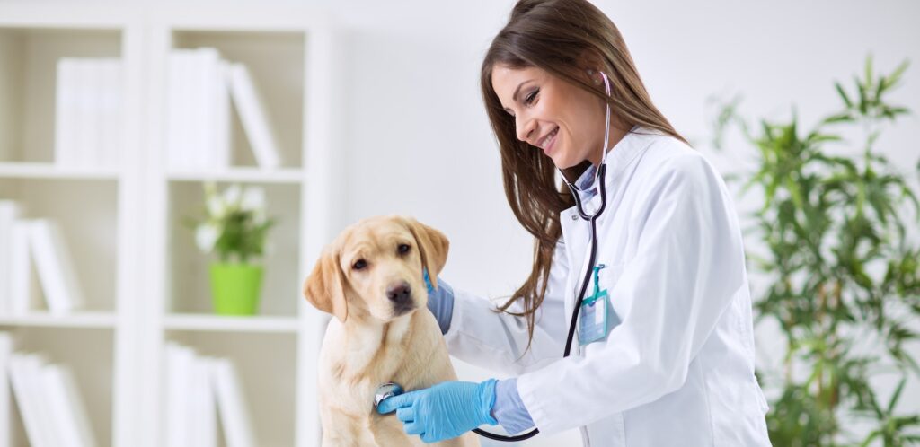 Veterinary Infectious Disease Diagnostics Market